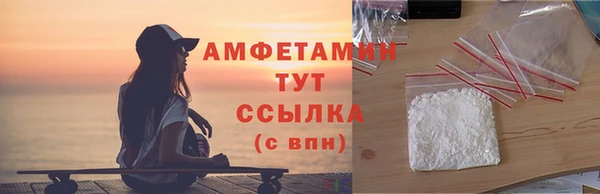 PSILOCYBIN Покачи