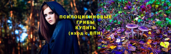 стаф Беломорск