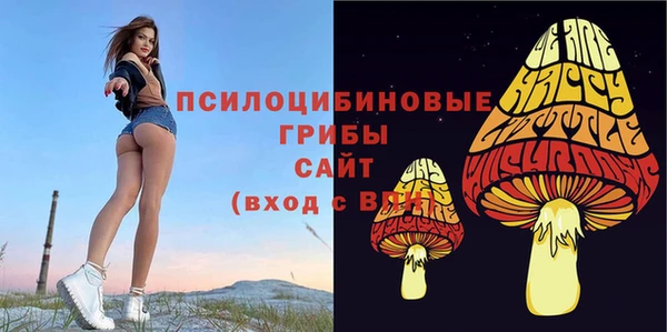 стаф Беломорск