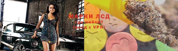 ECSTASY Белокуриха